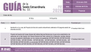 Guía de la Segunda Sesión del Consejo General del INE