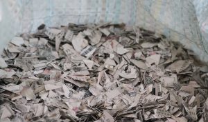 bolsa con credenciales para votar trituradas