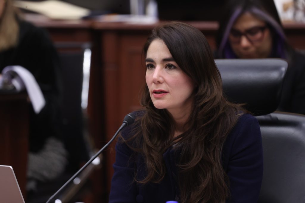 Dania Ravel Cuevas, Consejera Electoral en su participación en la sesión.