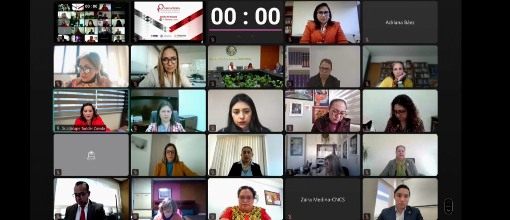 Sesión del Observatorio de Participación Política de la Mujer