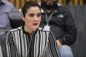 Dania Ravel Cuevas, Consejera Electoral participando en la sesión.