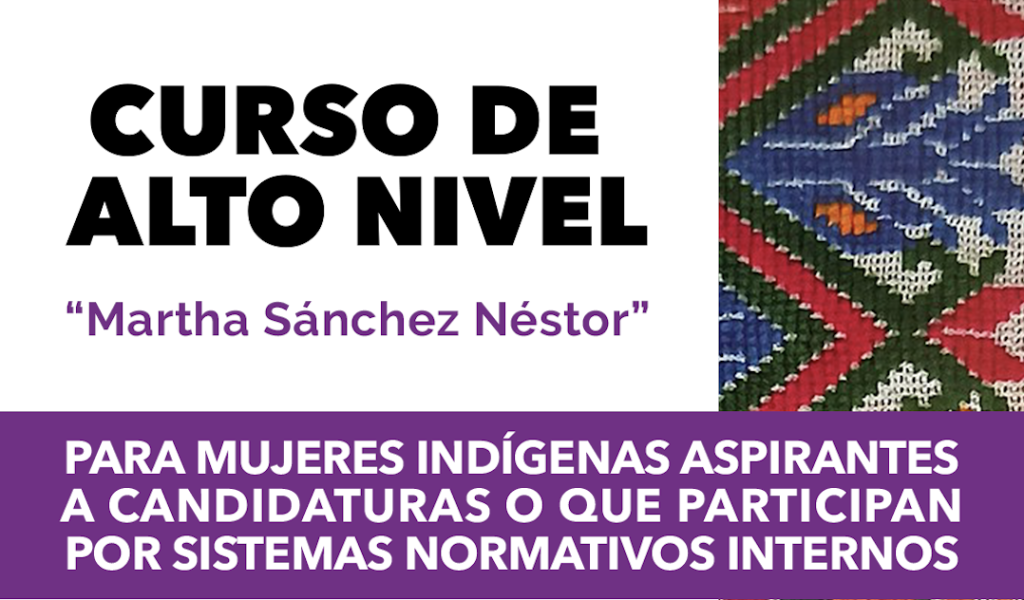 Curso de Alto Nivel para Mujeres Indígenas Aspirantes a Candidaturas