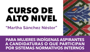 Curso de Alto Nivel para Mujeres Indígenas Aspirantes a Candidaturas