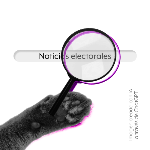 Imagen que representa el concepto de "comprobar" con una patita de gato sosteniendo una lupa en un buscador web. Es una imagen creada con IA a través de ChatGPT.