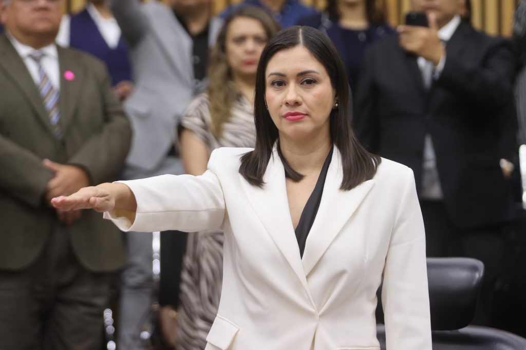 Blanca Cruz García, Consejera Electoral