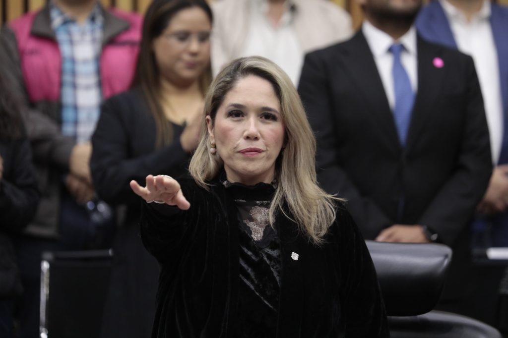 Frida Gómez Puga, Consejera Electoral