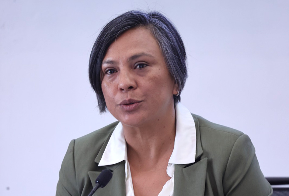 Consejera Electoral, Norma De La Cruz