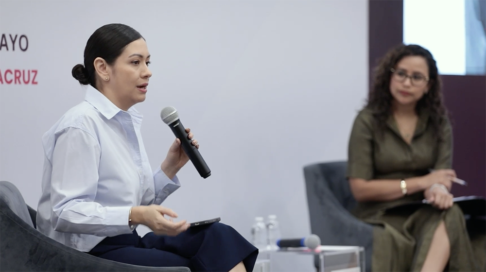 Consejera Electoral, Blanca Cruz García