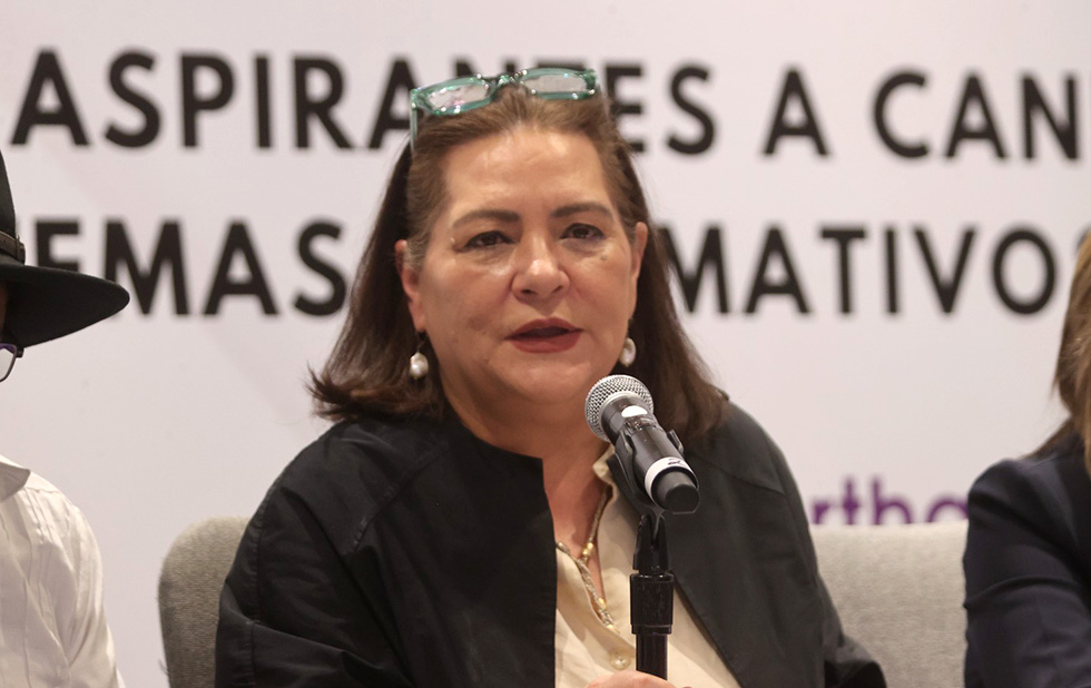 Guadalupe Taddei, Consejera Presidenta del INE
