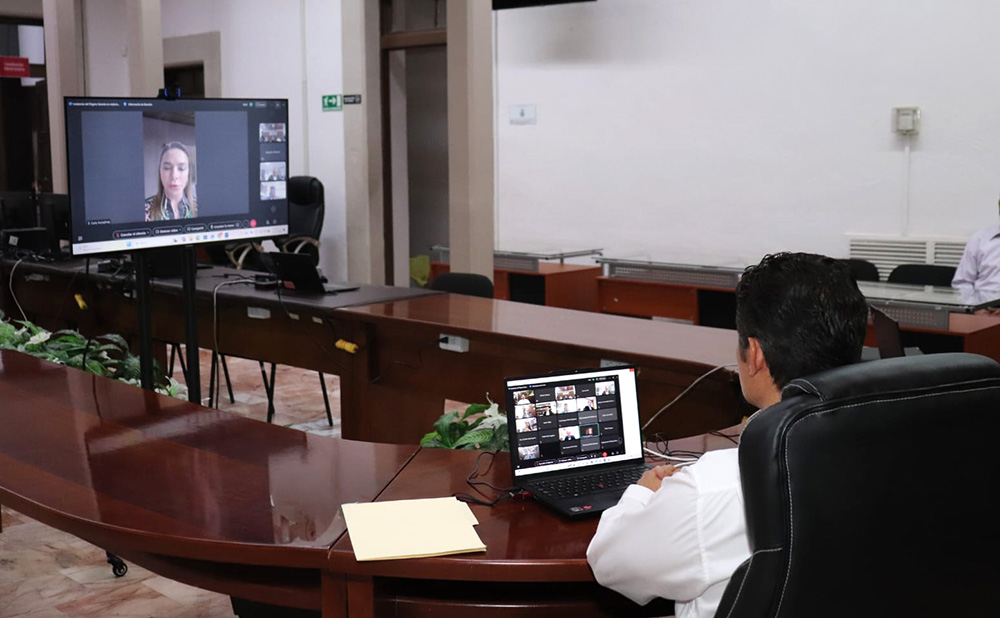 Reunión virtual de la Consejera Carla Humphrey con funcionarios del Consejo Local de Chihuahua