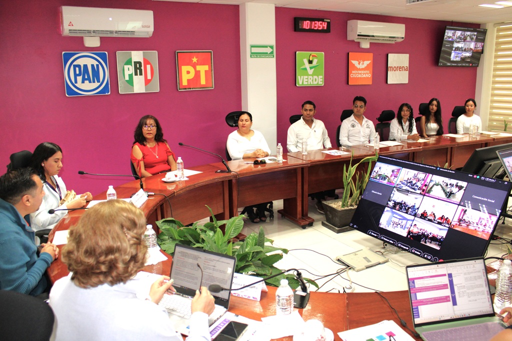 personas jóvenes en reunión con personal del INE en Guerrero
