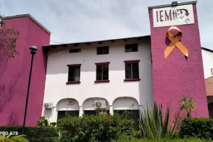 Instituto Electoral del Estado de Michoacán