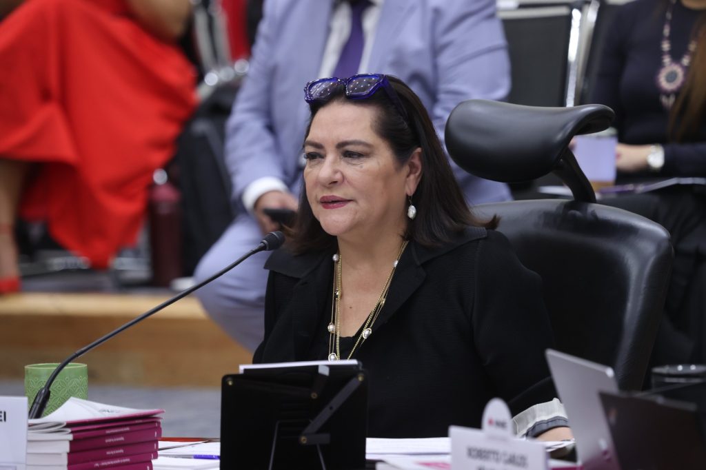 Guadalupe Taddei Zavala Consejera Presidenta, participando en la sesión.