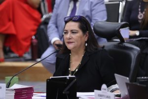 Guadalupe Taddei Zavala Consejera Presidenta, participando en la sesión.