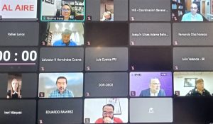 Sesión virtual de la Comisión de Capacitación y Organización Electoral