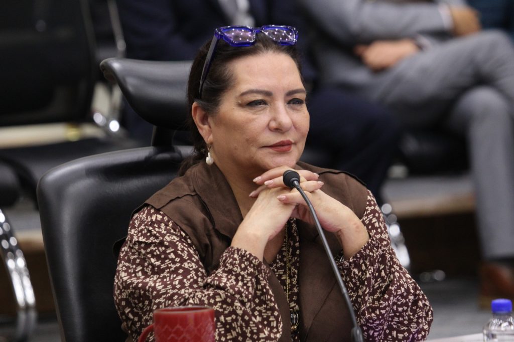 Guadalupe Taddei, Consejera Presidenta