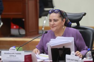 Guadalupe Taddei, Consejera Presidenta