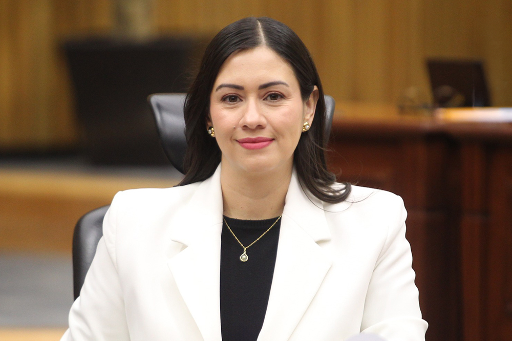 Blanca Cruz, presidenta provisional del INE