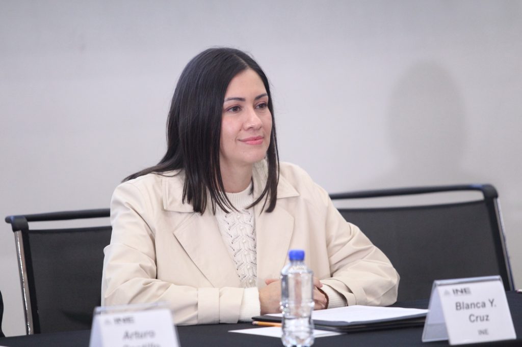 Blanca Cruz, Presidenta provisional del INE