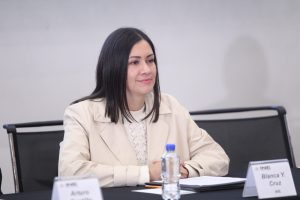Blanca Cruz, Presidenta provisional del INE