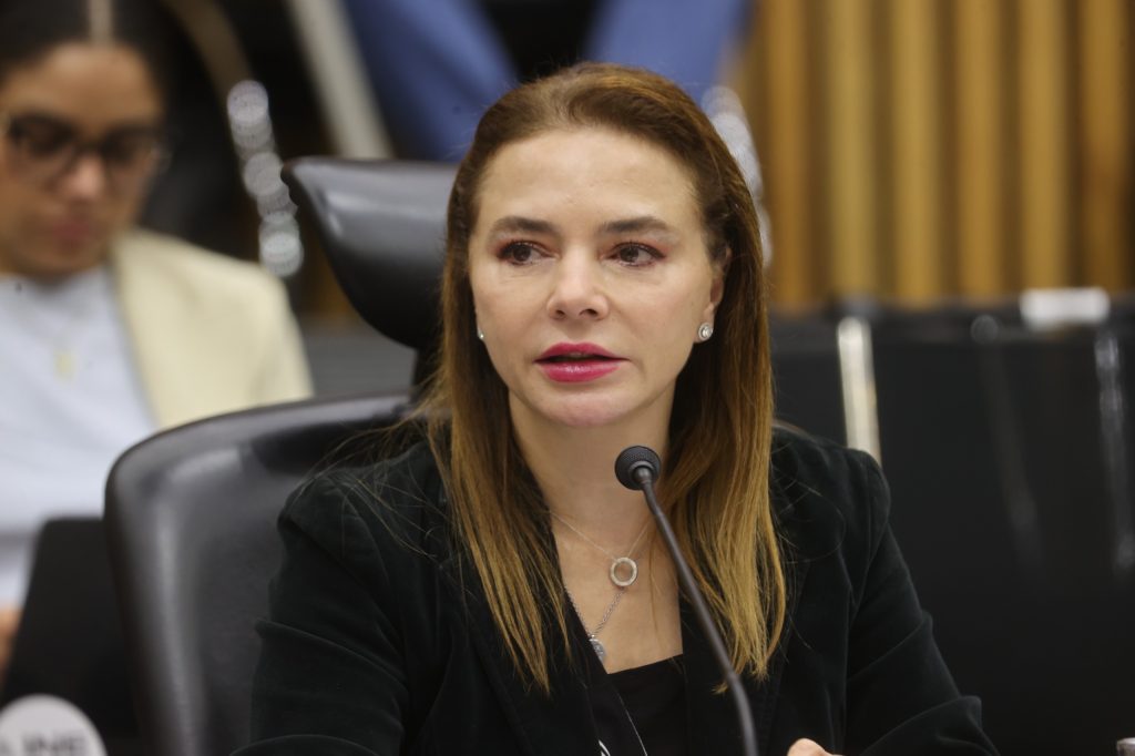 Carla Humphrey, Consejera Electoral del INE