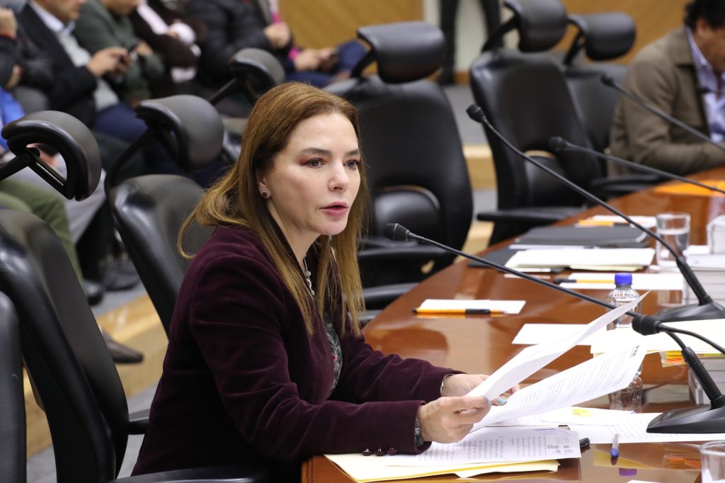 Consejera Electoral, Carla Humphrey