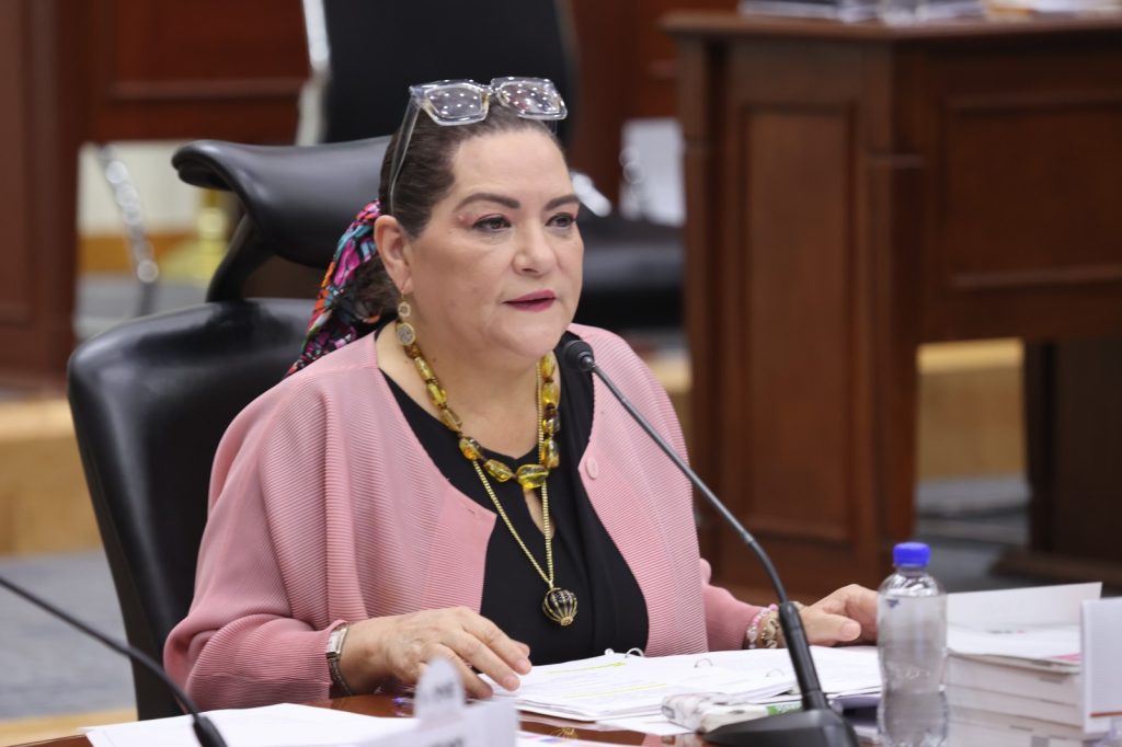 Consejera Presidenta, Guadalupe Taddei