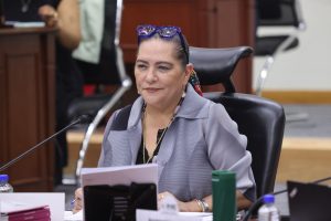 Guadalupe Taddei, Consejera Presidenta