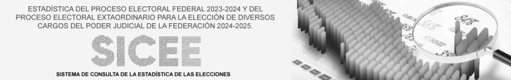 Banner, Sistema de consulta de la Estadística de las elecciones