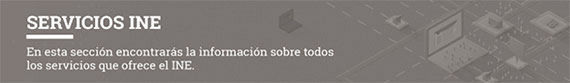 Servicios que brinda el INE
